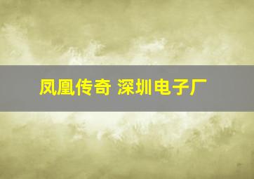 凤凰传奇 深圳电子厂